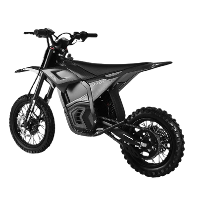Lithion Pro X